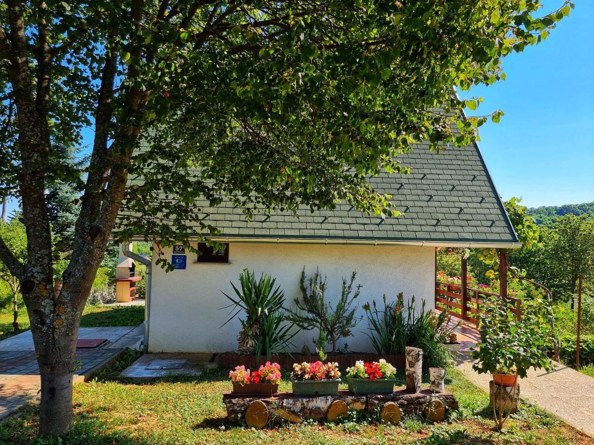 Guesthouse Mreznica- Mreznicka Idila Resort Galovic-Selo Extérieur photo
