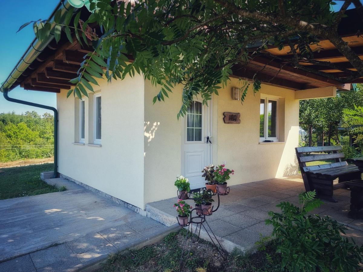 Guesthouse Mreznica- Mreznicka Idila Resort Galovic-Selo Extérieur photo