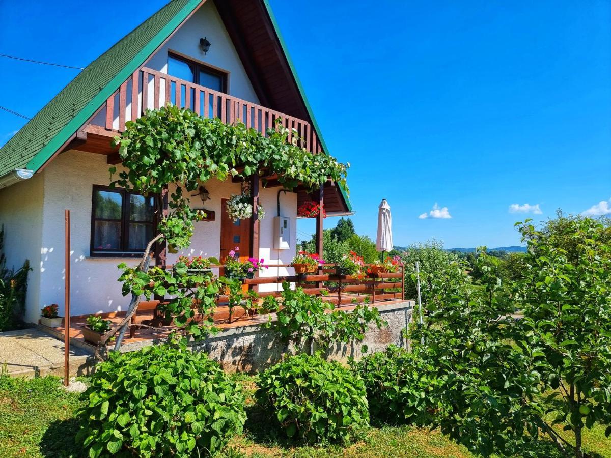 Guesthouse Mreznica- Mreznicka Idila Resort Galovic-Selo Extérieur photo