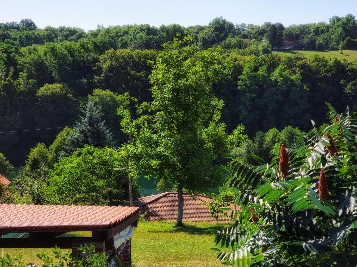 Guesthouse Mreznica- Mreznicka Idila Resort Galovic-Selo Extérieur photo